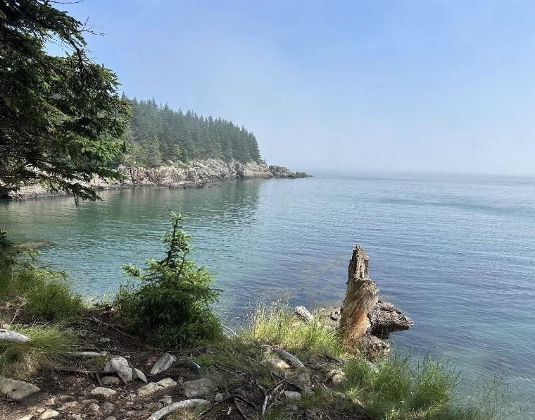 a9ad1835-5c52-4e13-8a82-658d1ad95104