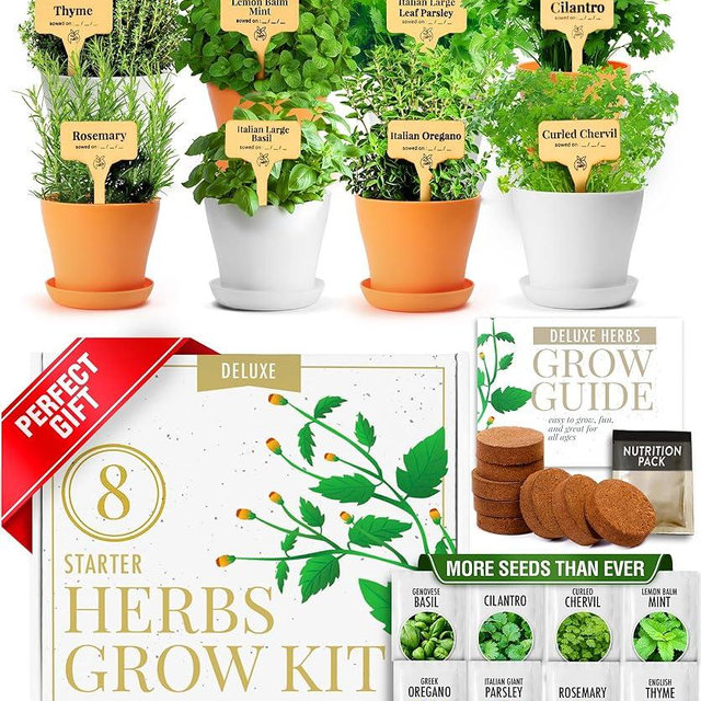 HOME GROWN Deluxe 8 Herb Garden Kit – Unique Mother's Day Gardening Gift for Women, Mom, Her – Perfect Kitchen Gifts for Gardeners, Friends, New Home, Housewarming, and Herb Plant Starter Kit