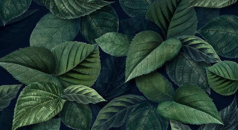 Footer image