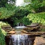 Inniswood Metro Gardens