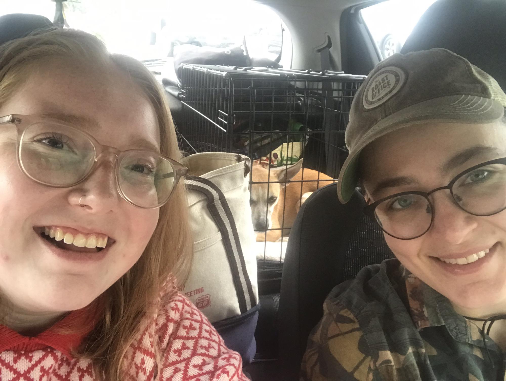 Second leg of the road trip - Tali is displeased in the backseat.