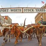 Fort Worth Stockyards Station