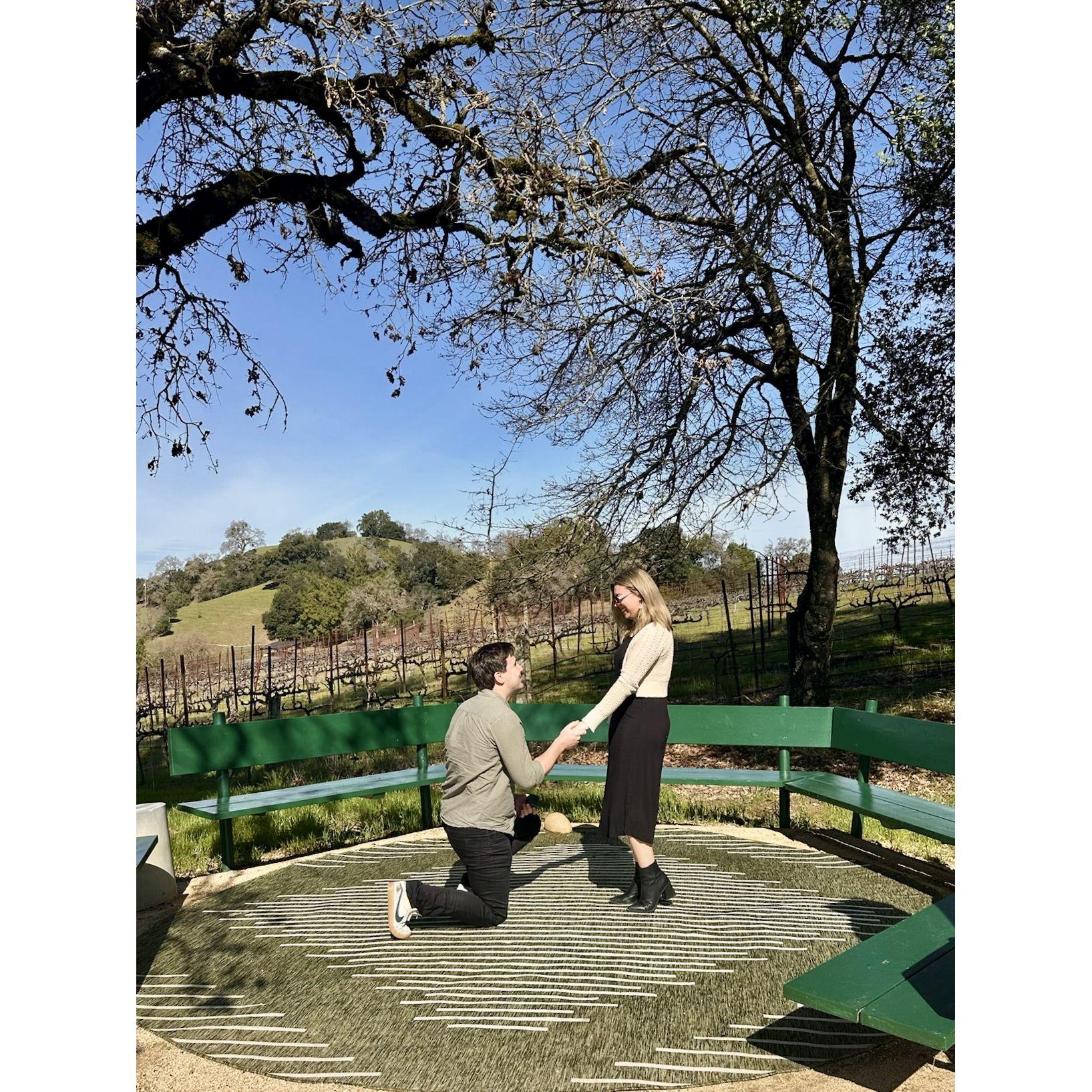 The actual proposal