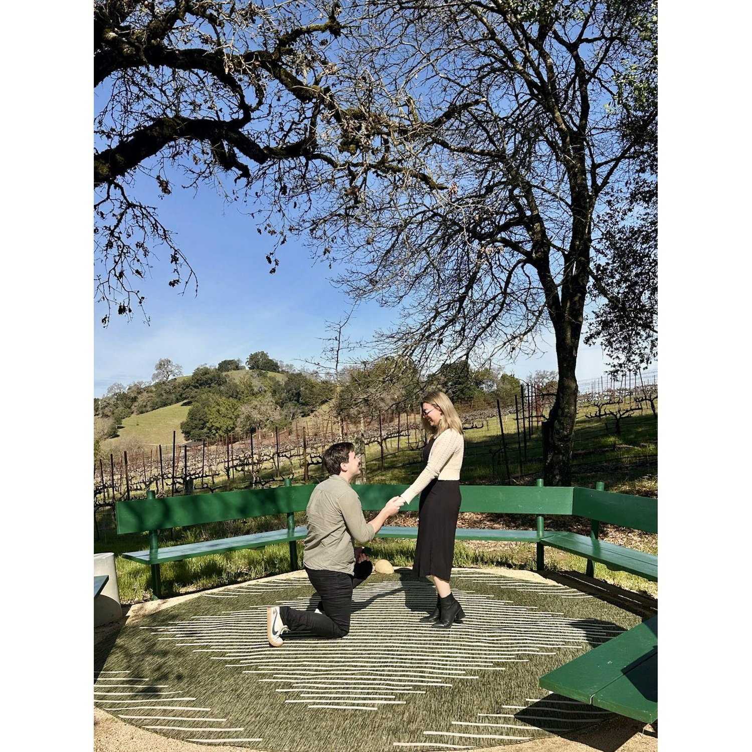 The actual proposal