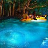 Bioluminescent Bay Kayaking