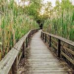 Tinker Nature Park / Hansen Nature Center