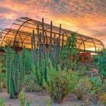 Desert Botanical Garden