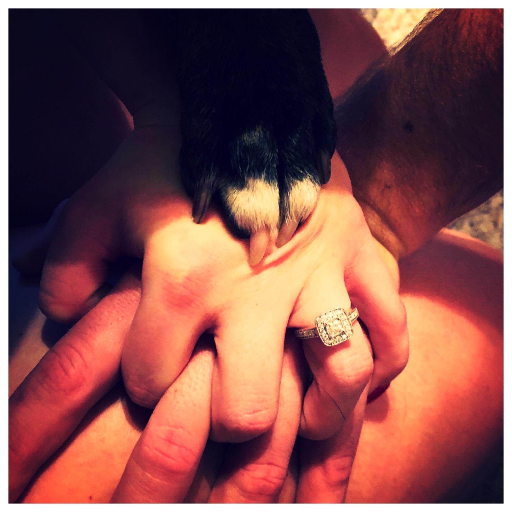 engagement announcement to family and friends