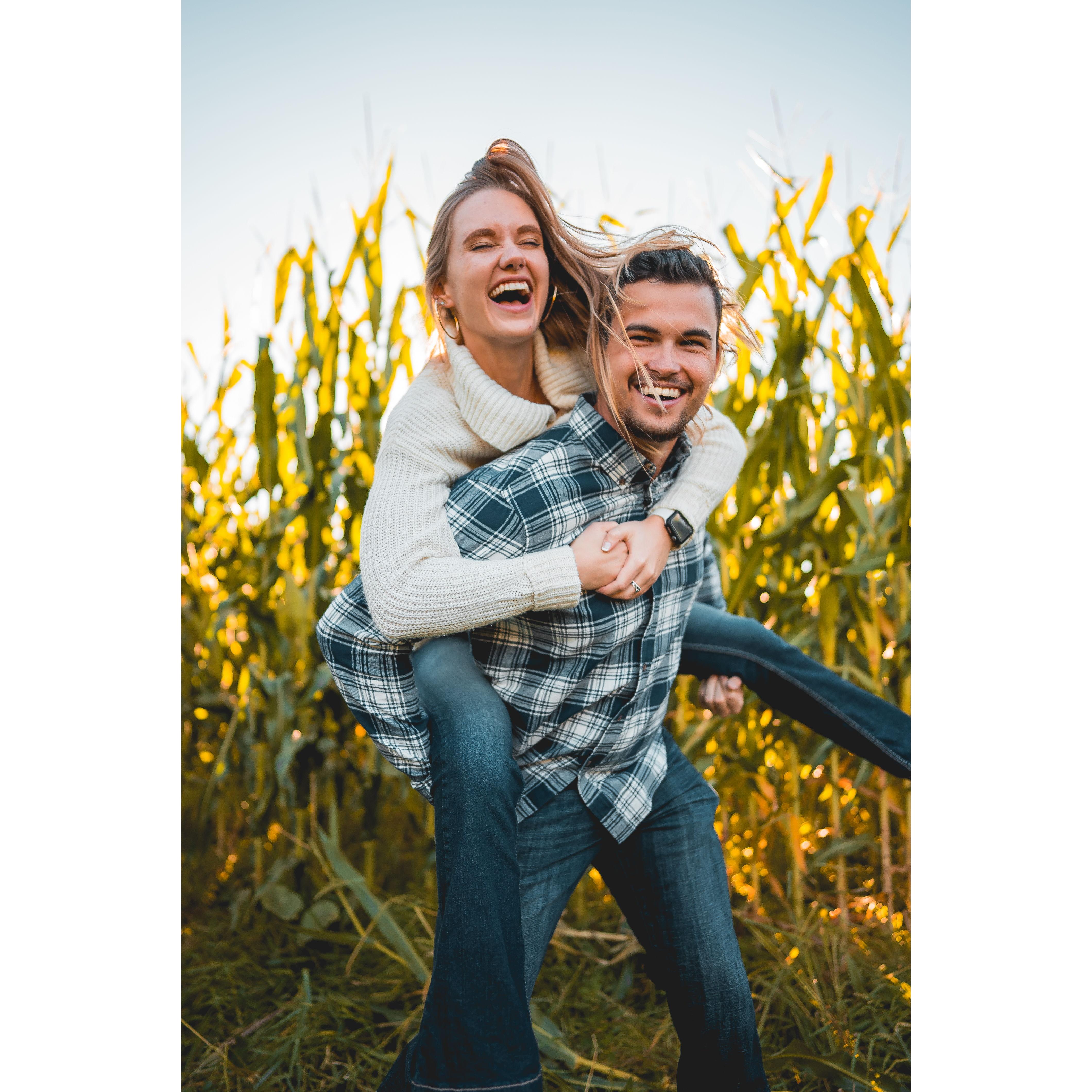 Corn maizes and more piggy back rides!