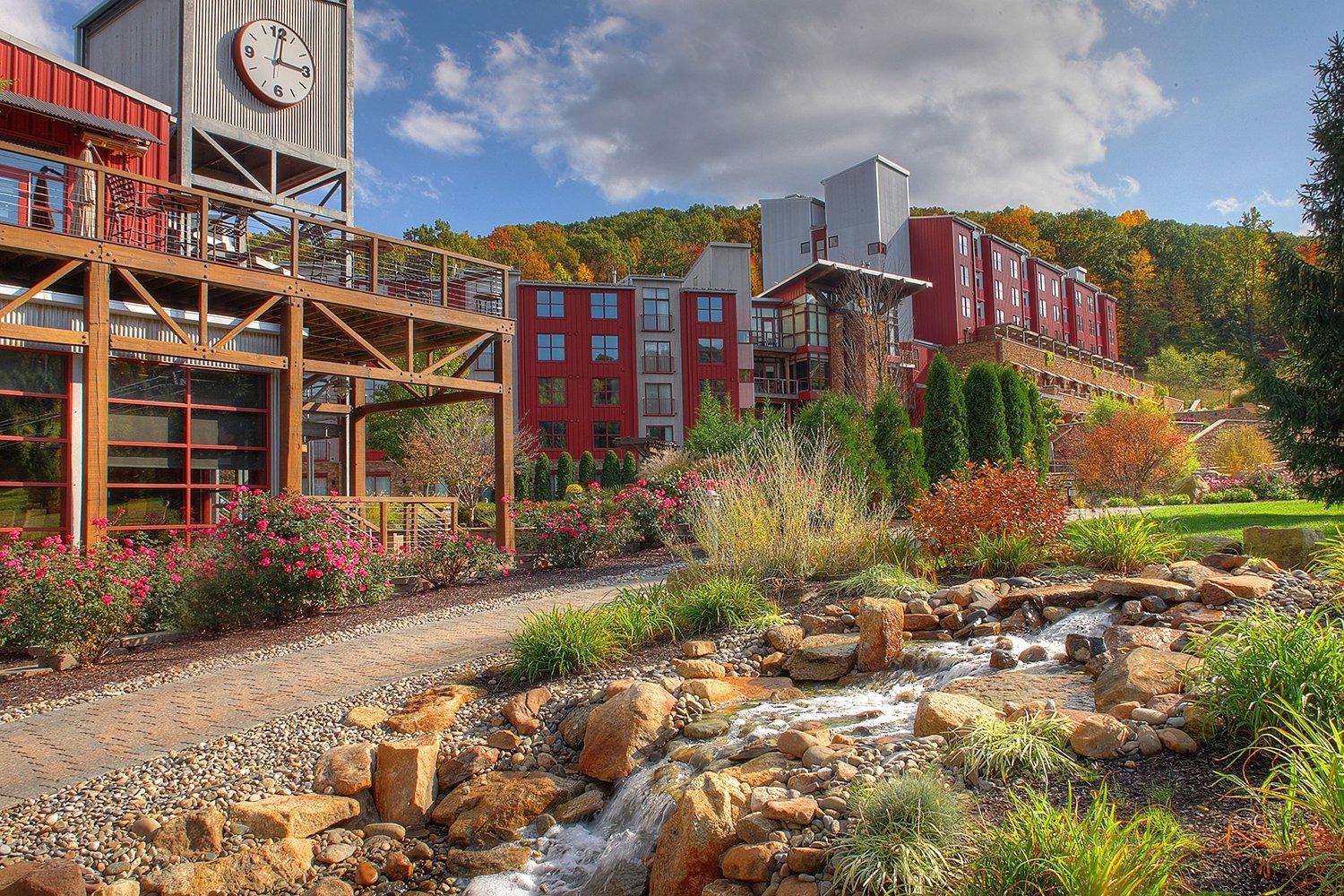 The Wedding Website of Darcy Tashlein and Nicholas Colontonio