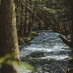 Catskill Fly Fishing Center & Museum