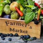 Burlington Farmers Market