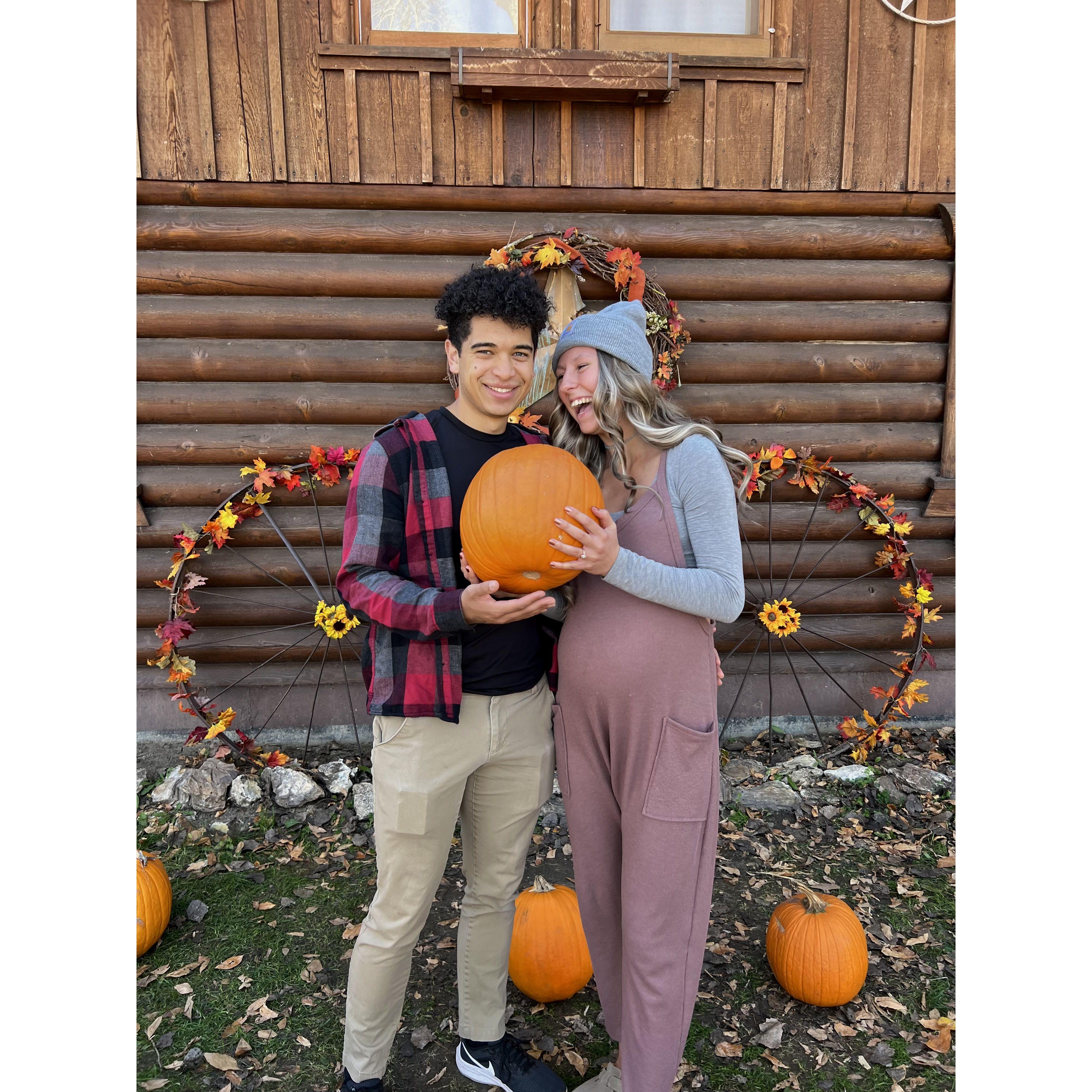 Pumpkin patch over the years...