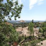 Cheyenne Mountain Zoo