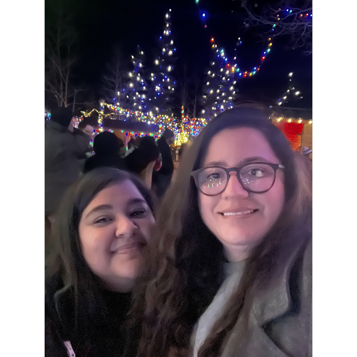 We took a train ride through the mountains they had a lot of Christmas lights and got to meet Santa! 🎅🏻