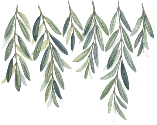 The Wedding Website of Finnuala Hanifan and Alessio Belli