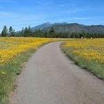 Buffalo Park Loop
