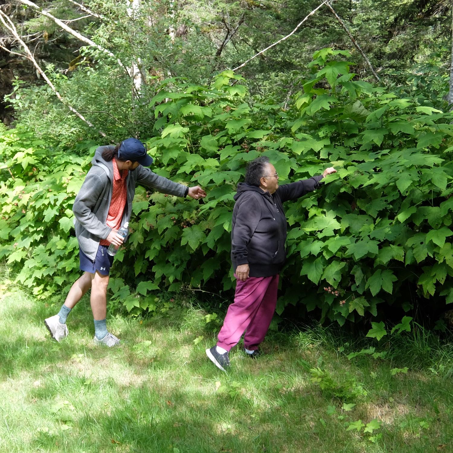 Brian picking berries with Granny Rose