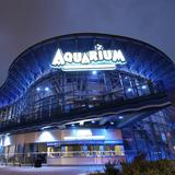 Downtown Aquarium