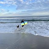 Ocean Grove Beach