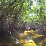 Curry Hammock State Park