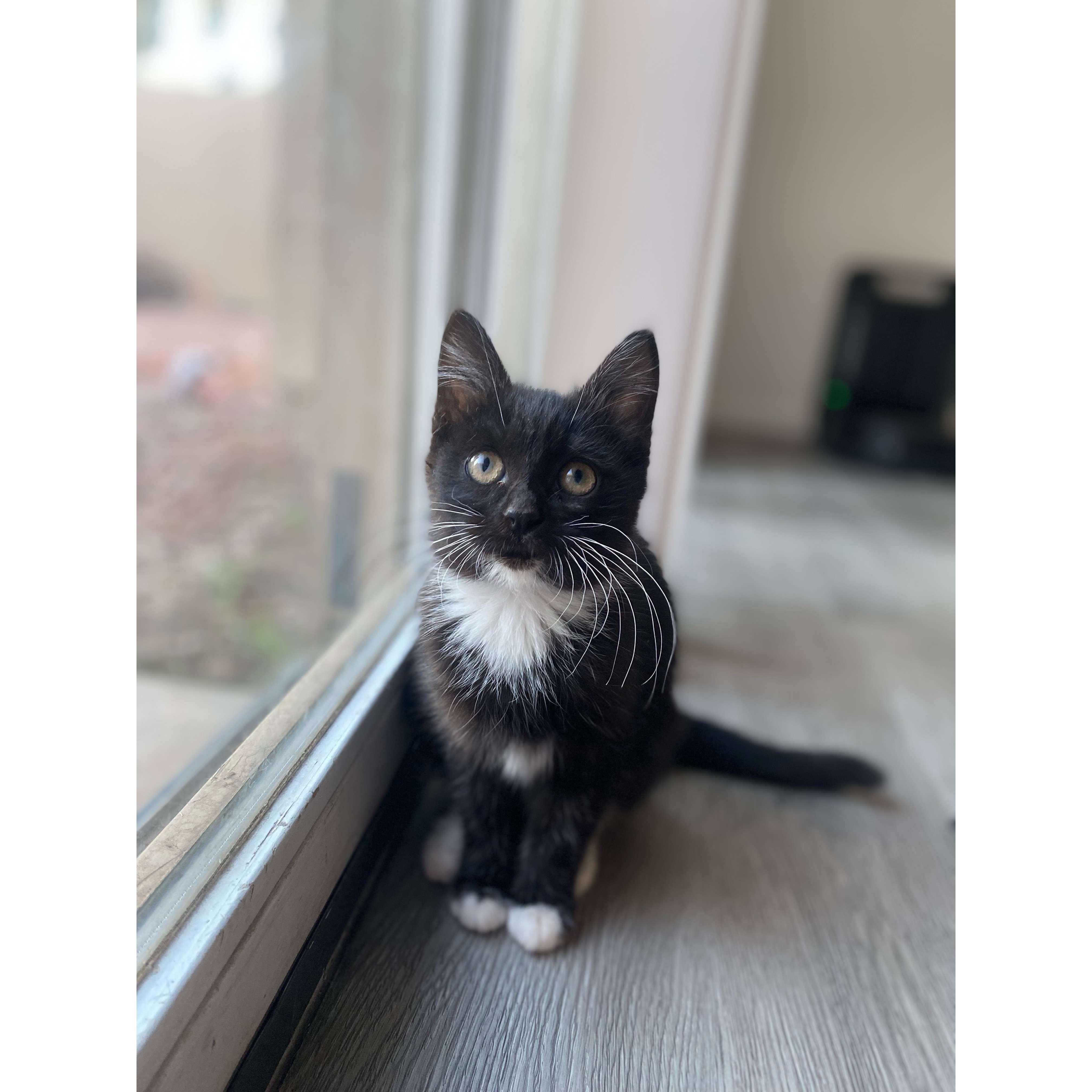 Mia February 2022