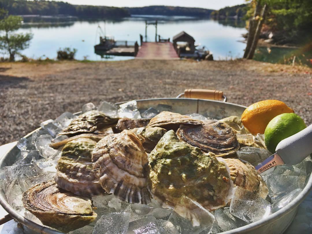 The Wedding Website of Molly Nolan and Justin Land