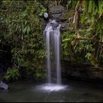El Yunque National Forest