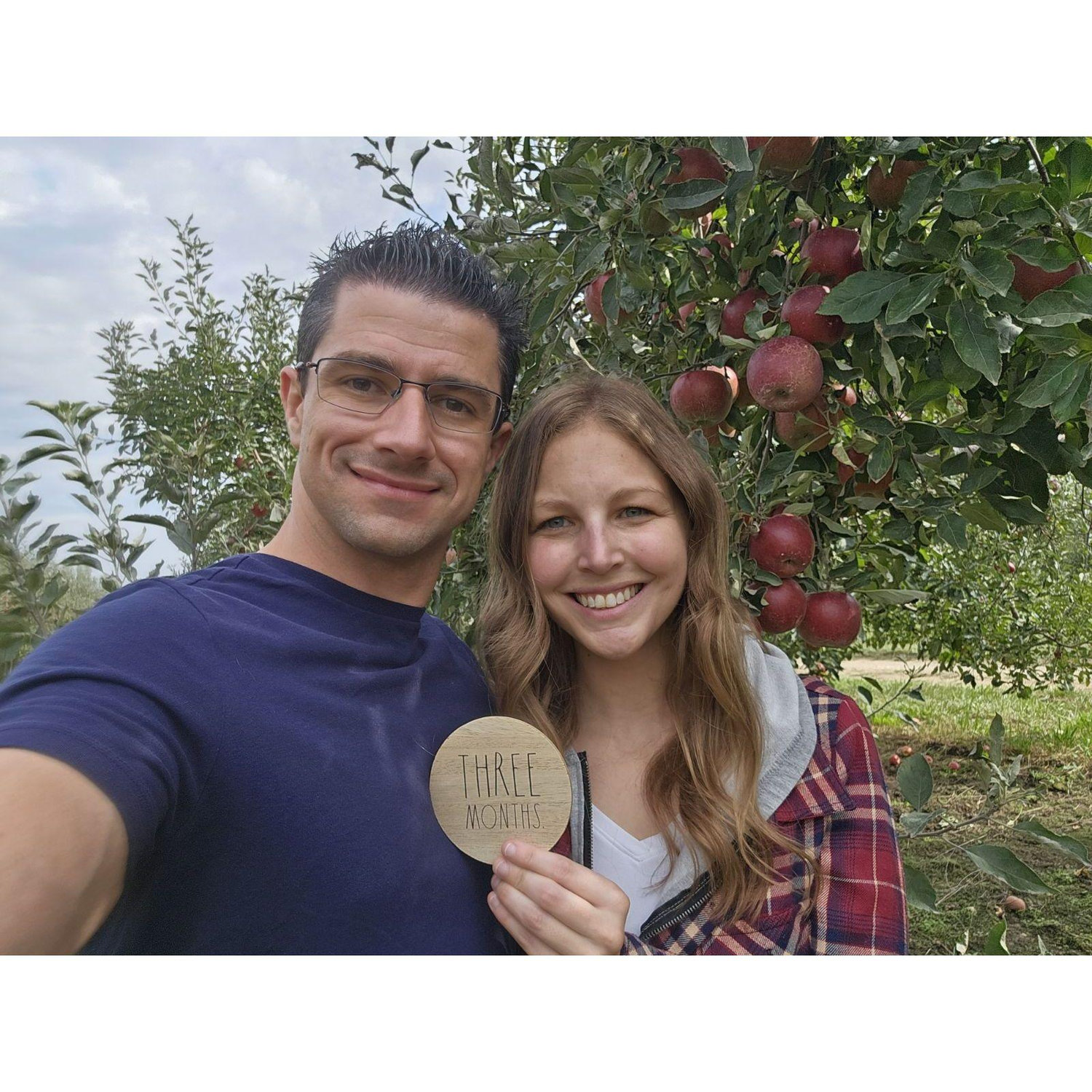 3 months- apple orchard