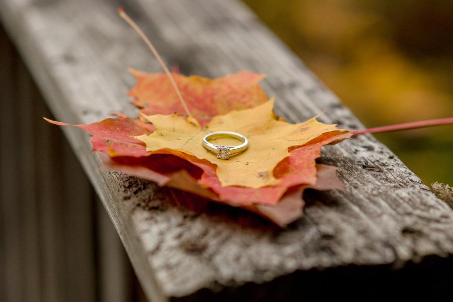 The Wedding Website of Lauren Krupsky and Nathan Wasylewski