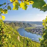 Mosel Valley