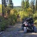 Wild Bill Trailhead Parking