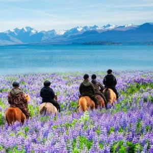 Horseback Riding Honeymoon Excursion