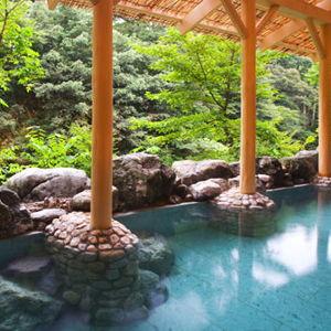 Honeymoon Fund - Fancy Onsen Hotel