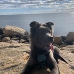 Bluff Point State Park