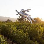 HALL Wines St. Helena