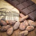 Chocolate Workshop