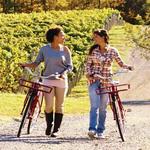Rent a bike at County Cycle