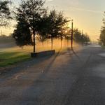 Crescent Park Trail