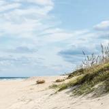 Sandbridge Beach
