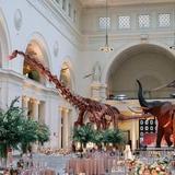 Field Museum