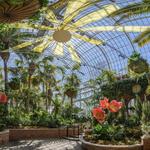 Phipps Conservatory and Botanical Gardens