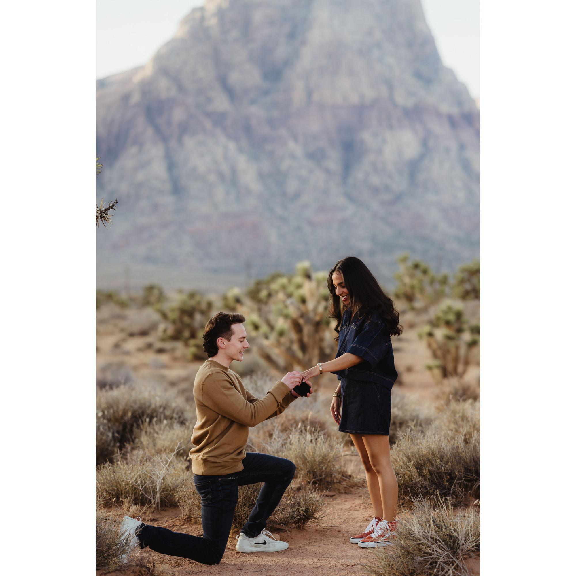 I said YES