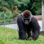 Pittsburgh Zoo & Aquarium