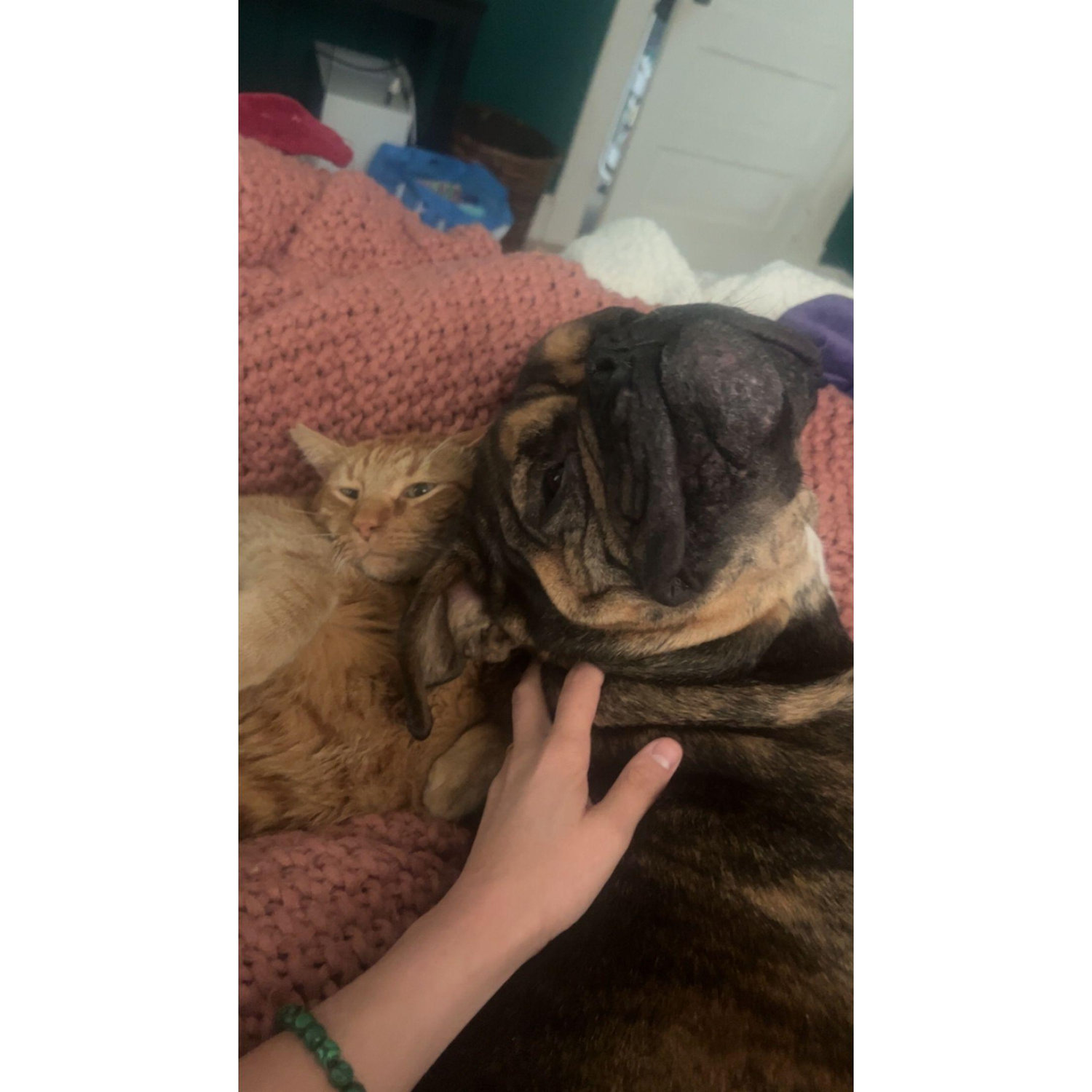 Tigger AKA Kevin and Doug