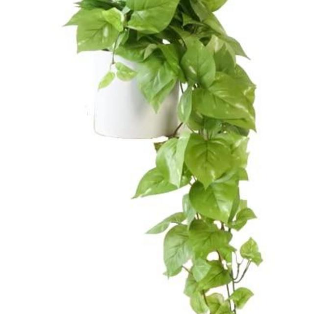 Retrograde 32” Fake Pothos Plant Realistic Silk Plants for Home Decor Indoor with Removable Pot Faux Pothos Desk Plants for Office Plant Decor for Bedroom Artificial Plants for Home Decor Indoor (1pc)