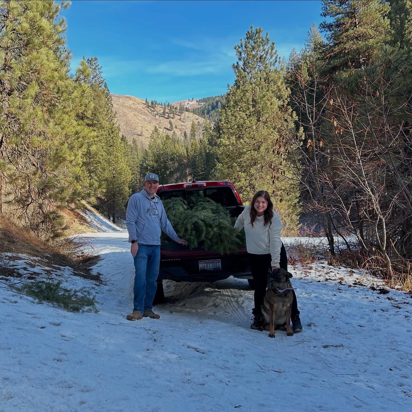 Cutting down our Christmas tree