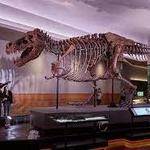 Field Museum