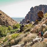 Palm Springs - Desert Hikes