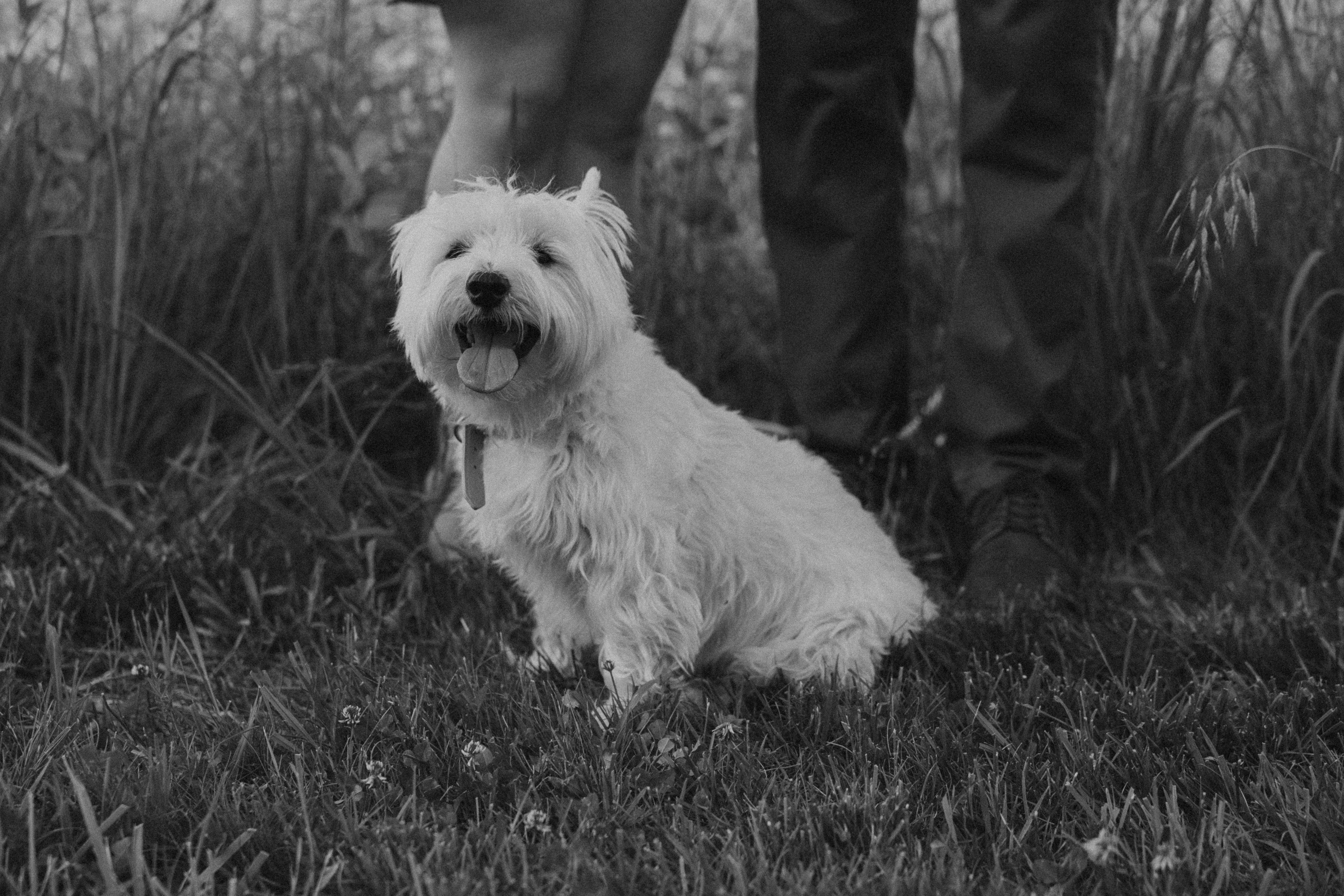The Wedding Website of Marci Sebring and Nate Lehrer